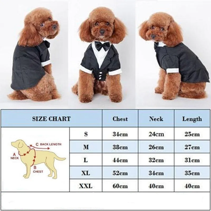 Classic Black Tie Dog Tuxedo