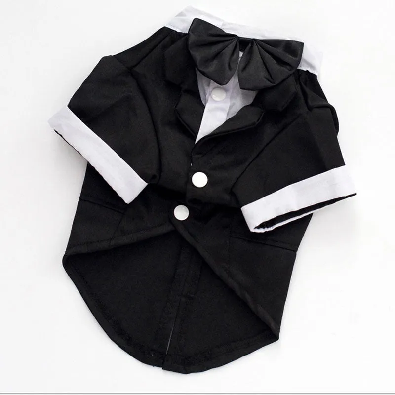 Classic Black Tie Dog Tuxedo